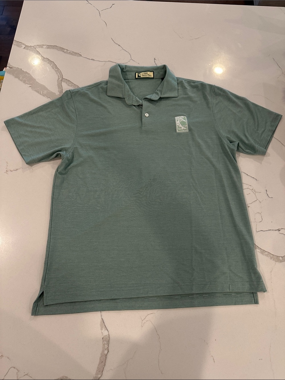 The Lodge Torrey Pines Golf Men's Polo Shirt in Sage Green